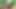 Hintli güzel kız arkadaş sıkı ilk kez ormanda xxx videolar, desi güzel ormanda kız arkadaş seks videoları