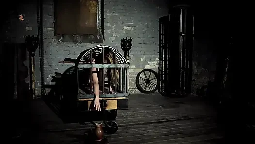 What to Do with a Blonde Maid in a Cage