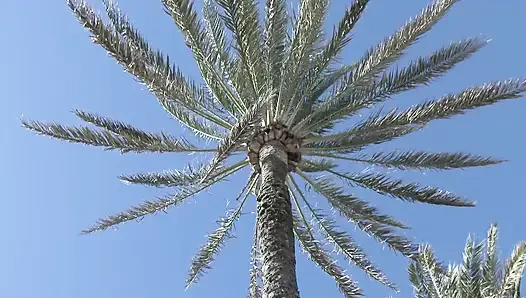 Frecher teenager wird gefickt und isst sperma!