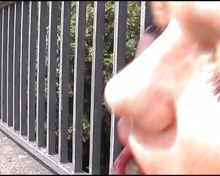 Stunning German slut fucked on the bridge