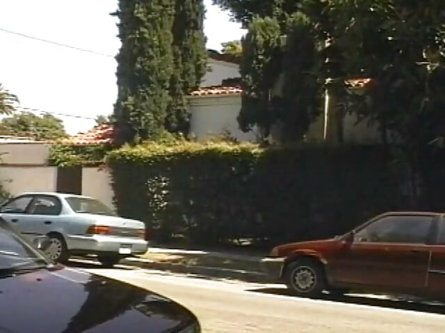 The Guy Next Door 4