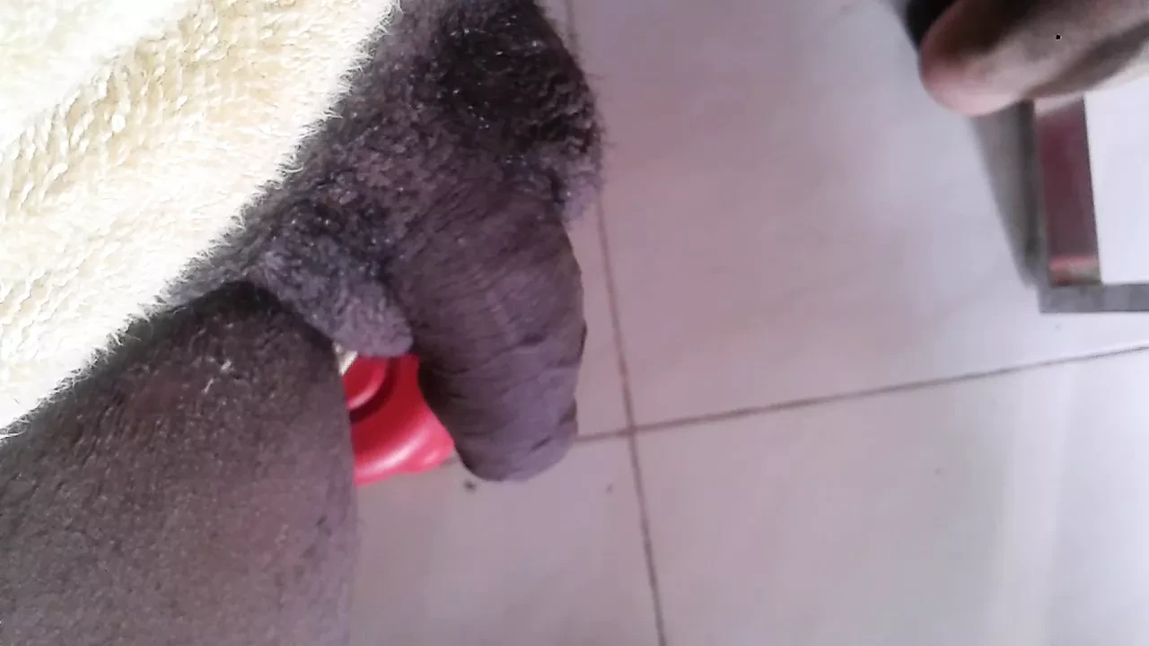 XHAMSTER VIDEO 7