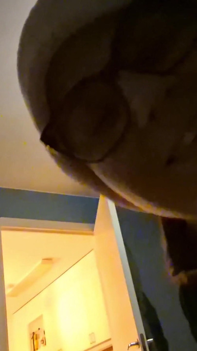 SantaBabe krijgt haar sperma | Clip 1