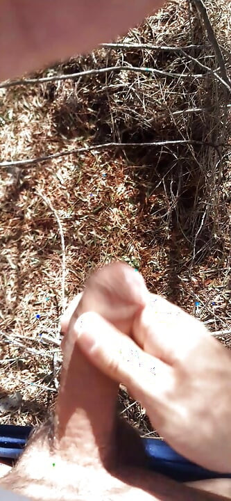 i slama bez odjeće u šumarku