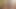 الملاك الآسيوي 25132
