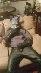 Officier Wolf blaast zijn lading