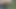 Ftm Pee in Forest Kinkycuntboy