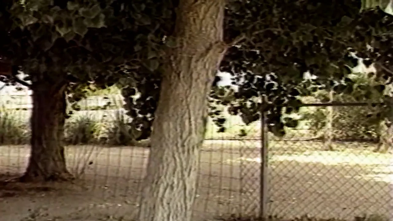 Dr. Feel Good (hd)