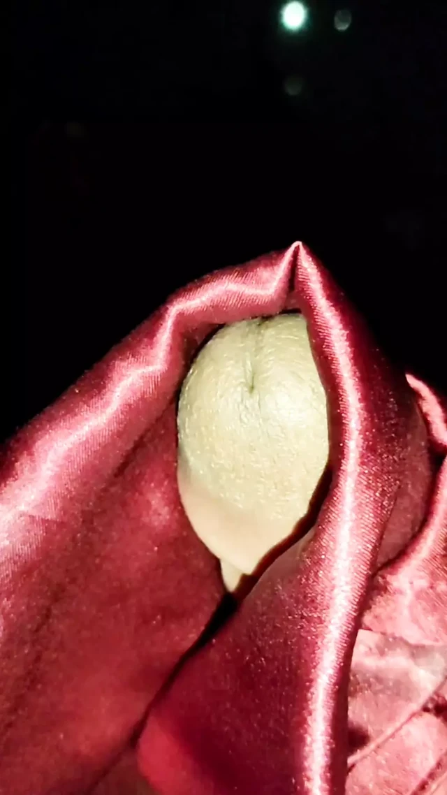Cum on satin silky maroon suit of nurse (71)