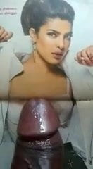 Priyankaaahh tribute