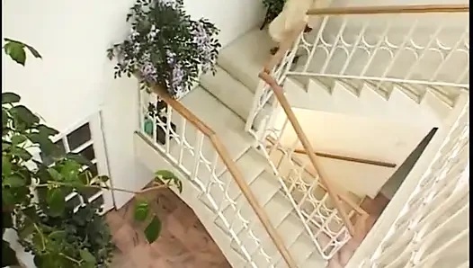 Atemberaubendes ebenholz-modell mit riesigen bristols nimmt schwanz im doggystyle auf der treppe
