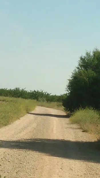 Прогулка в деревне