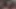 Amateur POV Blowjob
