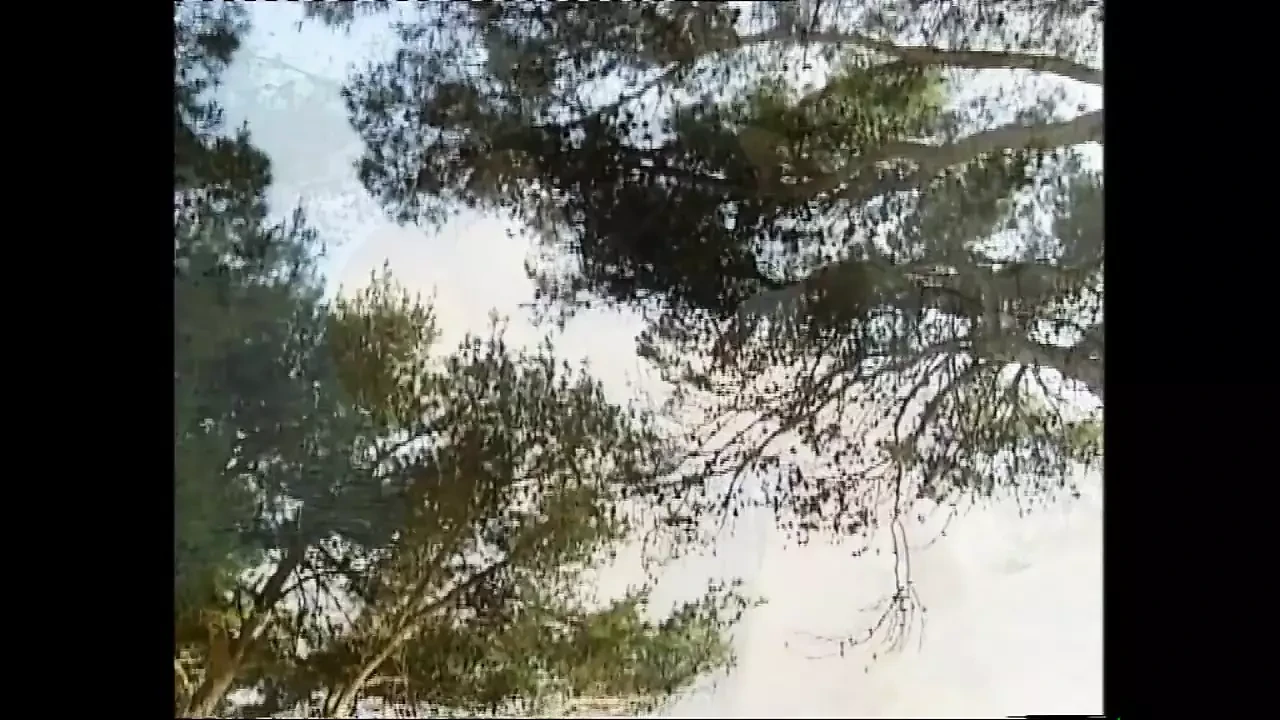 SADO-maso cu tatăl vitreg (film complet)