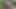 Black boy thrusts a blonde girls tight cunt to a cumshot