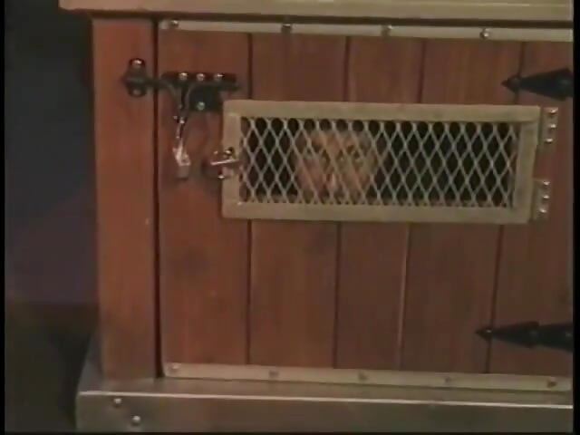 Bound man is subdued with strange penis remedy by two chicks in dungeon