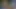 Dostum çiftleri gözetliyor.