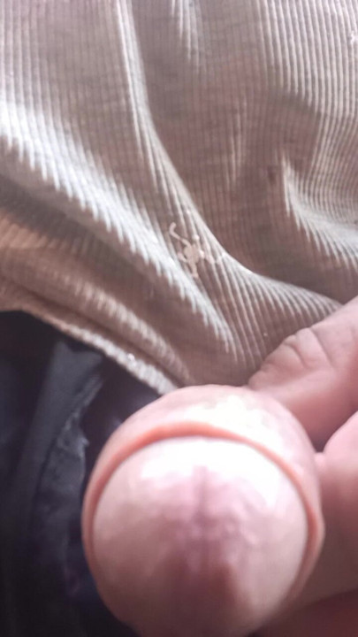 Soft Cock Outdoors on a chilly Day