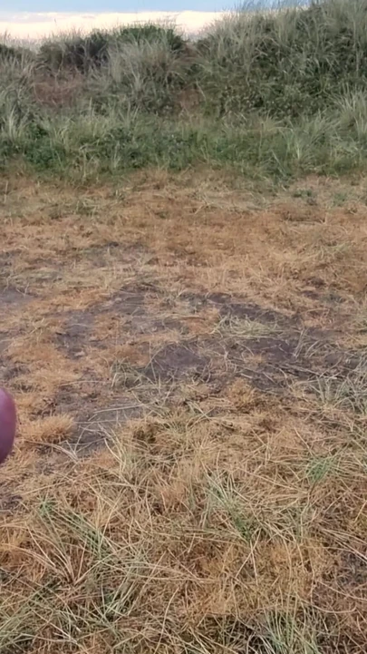 Emotional moment from "Morning Cumshot in Dansk Dunes"