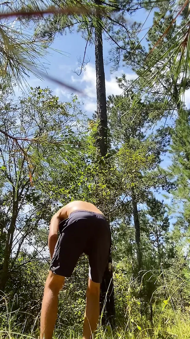 Little adventure in the woods.