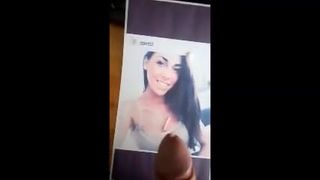Maxime mittnacht cumtribute