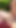 Captivating moment from "Big natural Floppy Tits Teen with oiled Body at Real Private Fuck by Big Dick Boyfriend"