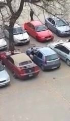 suboticanka se zeza