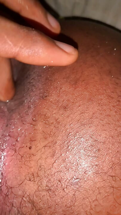 Black Bussy
