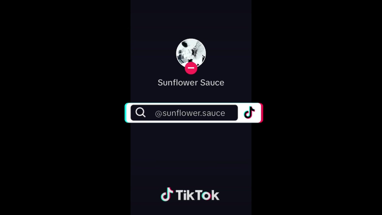 SunflowerSauce video