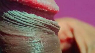 Monti Roy, vidéo virale, Monty Roy exhibe son pénis caché