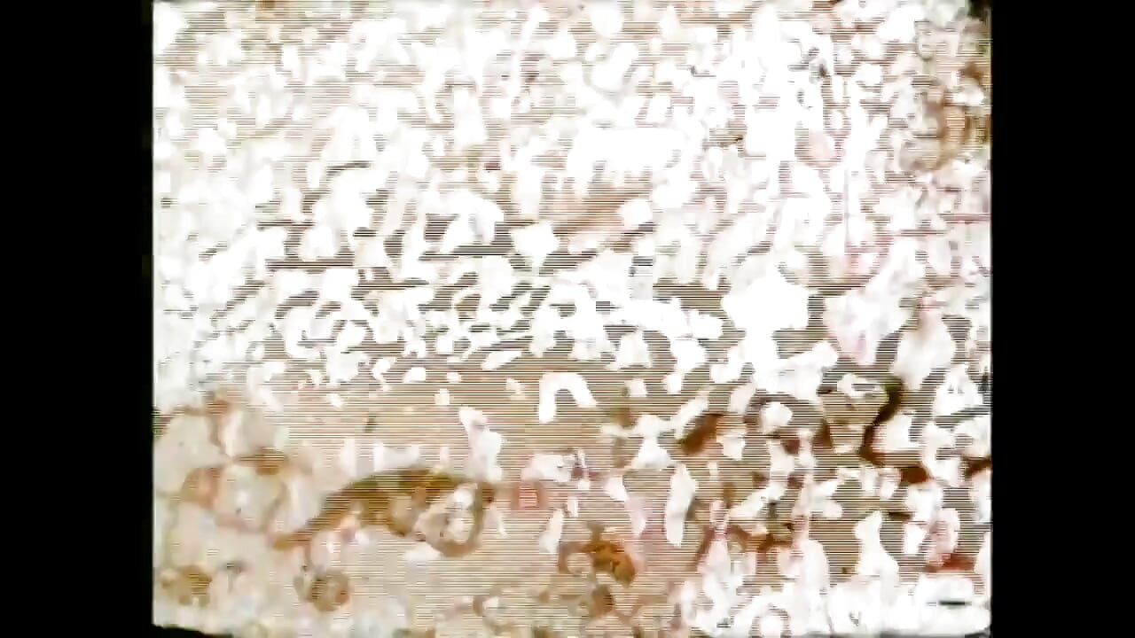 "Menşeimiz xxx... - cilt 14