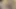 Young man records a new porn video and shares it with his friends on social media