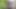 Kauçuk lateks file kedicik amcık oyunu