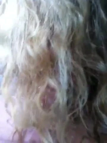 Deutsche milf lutscht