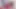 Anime Girls and Sonic Fantasy Animation