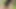 I dildo-fuck my ass in the woods, and at the end I slide the dildo in along with the balls.