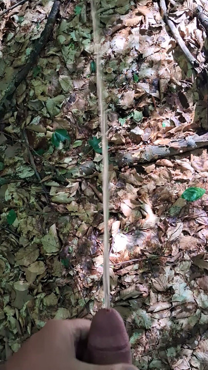 Horny pissed in the forest