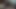 Indian dark bulky dick