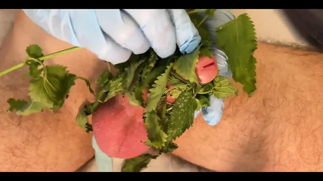 CBT Pumped Stinging Nettles Cum