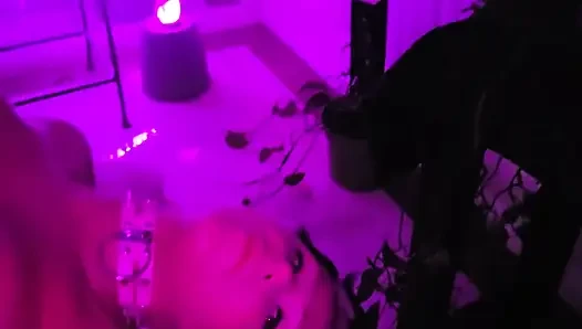 Pretty Party Smokey Kitty