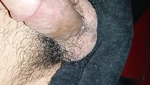 A Squirrel's Tail Finally Comes To An End