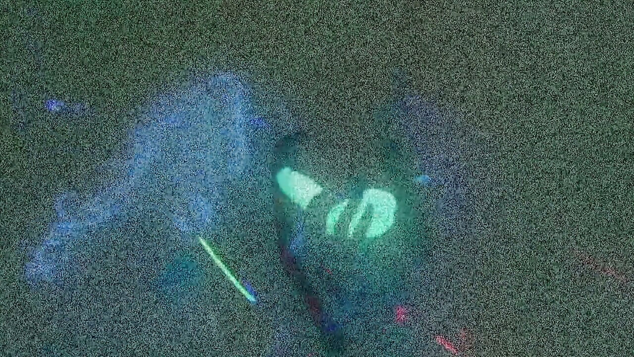 Glow-in-the-dark Dildo - Fishnet Blonde and Brunette Play Under Blacklight