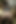 Asiansexdiary 小柄なアジア人が写真撮影後に外国人とセックス