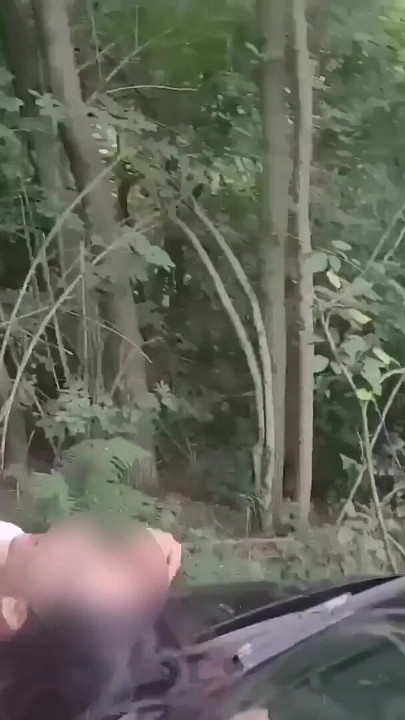 Caça ao tesouro pornô! Quem me encontrar vai me foder! Dois seguidores reais seguiram as pistas e me encontraram | Clipe 2