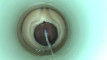 Pregled videozapisa