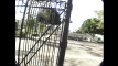 Pratinjau video