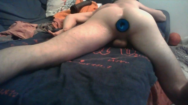 new plug bis
