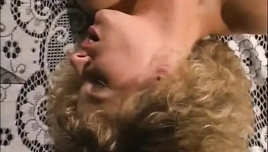 Familien-schweine (1990)