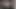 Futa Dating Simulator 7 Nora igra da je teško dostupna.