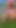 Sevimli kız muz kullanarak mastürbasyon yapıyor - animasyonlu porno | Klip 3